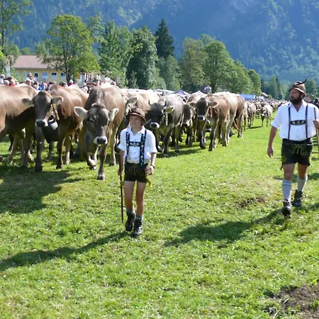 Affittacamere Landhaus Haug 3*