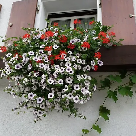 Landhaus Haug 3*