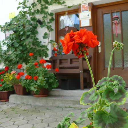 Affittacamere Landhaus Haug 3*